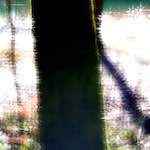 image: Image from the photoset &lsquo;terres rouges (x)&rsquo;.