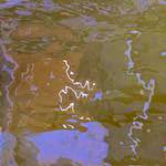 image: Image from the photoset &lsquo;delft (i)&rsquo;.