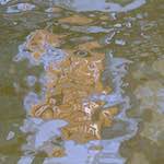 image: Image from the photoset &lsquo;delft (i)&rsquo;.