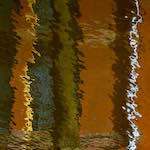 image: Image from the photoset &lsquo;delft (ii)&rsquo;.