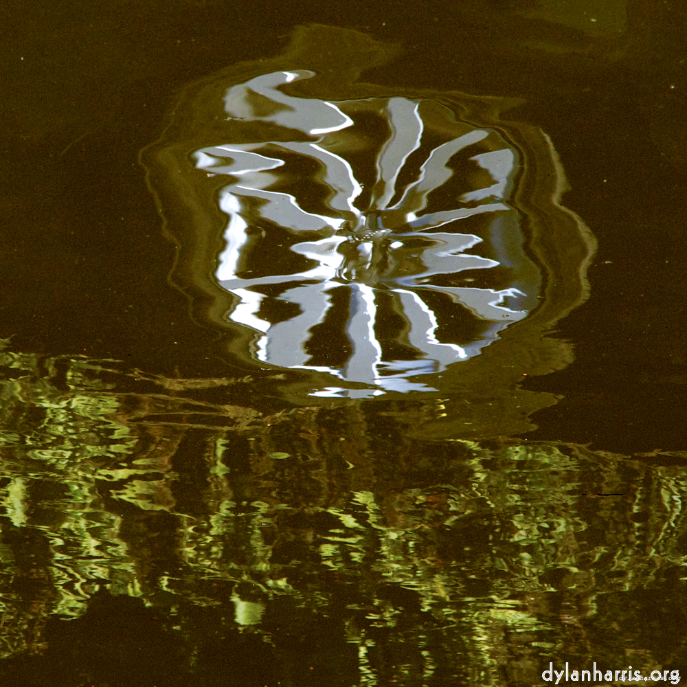 Image 'delft (iii) 6'.