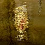 image: Image from the photoset &lsquo;delft (iii)&rsquo;.