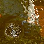 image: Image from the photoset &lsquo;delft (iii)&rsquo;.