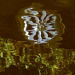 image: Image from the photoset &lsquo;delft (iii)&rsquo;.