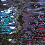 image: Image from the photoset &lsquo;delft (iv)&rsquo;.