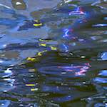 image: Image from the photoset &lsquo;delft (iv)&rsquo;.