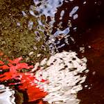 image: Image from the photoset &lsquo;delft (vi)&rsquo;.
