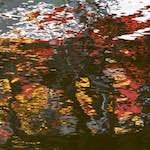 image: Image from the photoset &lsquo;delft (vii)&rsquo;.