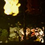 image: Image from the photoset &lsquo;delft (x)&rsquo;.