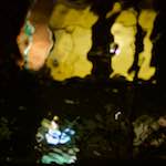 image: Image from the photoset &lsquo;delft (x)&rsquo;.