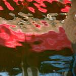 image: Image from the photoset &lsquo;delft (x)&rsquo;.