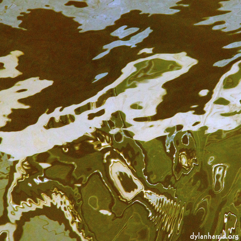 image: an image