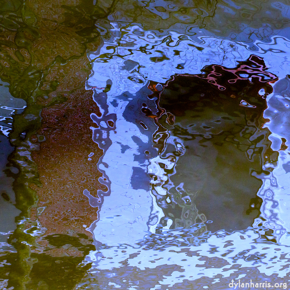 image: an image