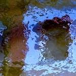 image: Image from the photoset &lsquo;delft (xi)&rsquo;.