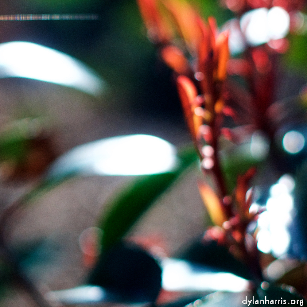 image: This is &lsquo;parc (xxv) 4&rsquo;.