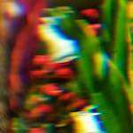 Second image from the photoset 'abstract (iv)'.