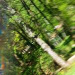 Fifth image from the photoset 'abstract (iv)'.