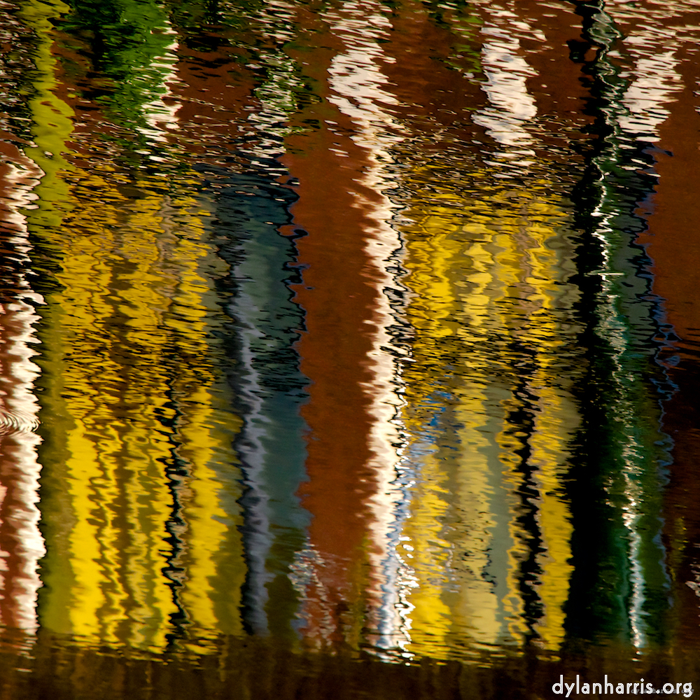 image: This is &lsquo;leiden (i) 3&rsquo;.