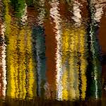 image: Image from the photoset &lsquo;leiden (i)&rsquo;.