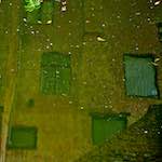 image: Image from the photoset &lsquo;brugge (iii)&rsquo;.