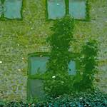 image: Image from the photoset &lsquo;brugge (iii)&rsquo;.