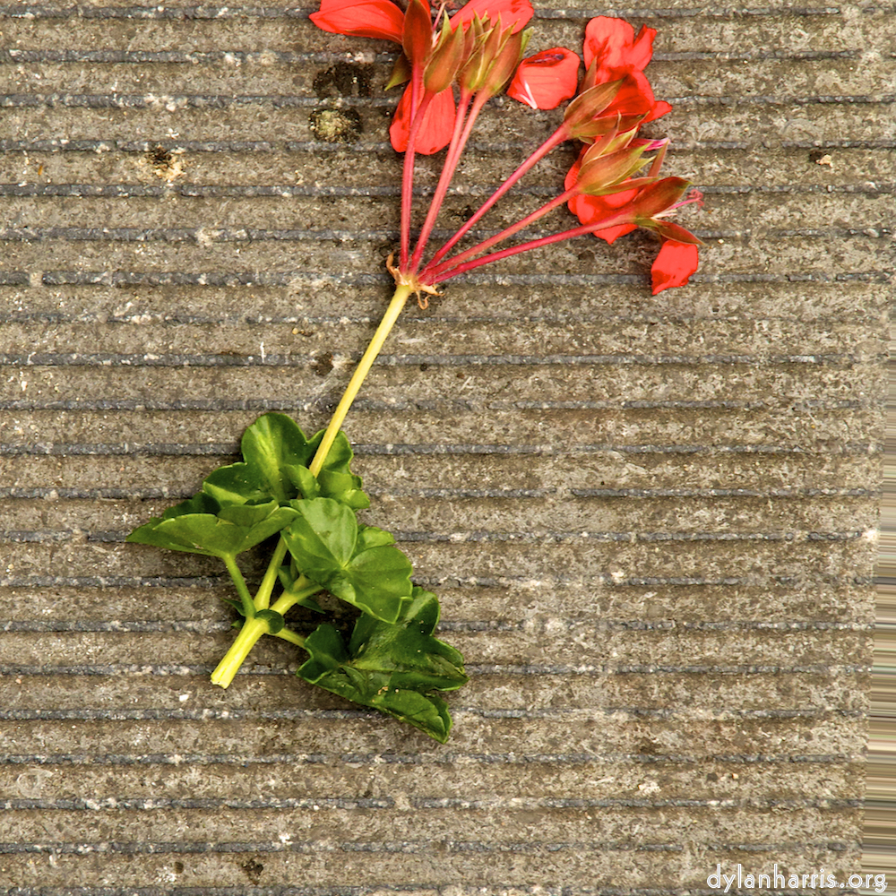 image: This is &lsquo;brugge (iv) 9&rsquo;.
