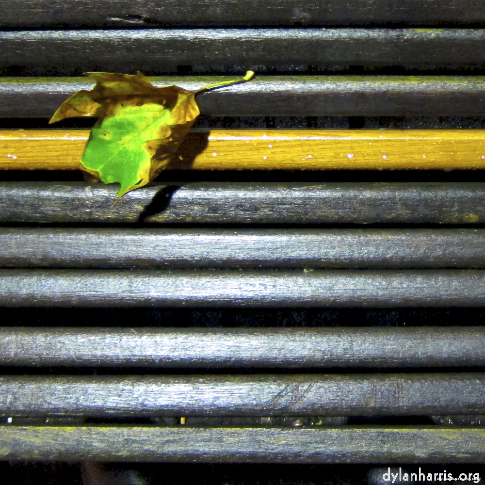 image: This is &lsquo;brugge (vi) 6&rsquo;.