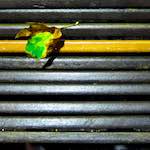 image: Image from the photoset &lsquo;brugge (vi)&rsquo;.