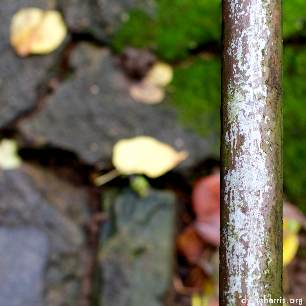 image: This is &lsquo;parc (xii) 3&rsquo;.