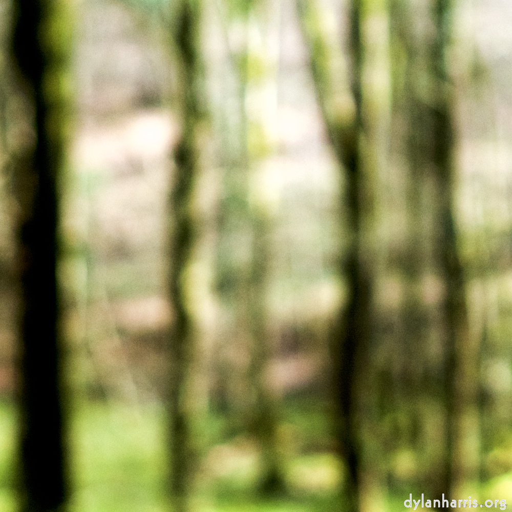 image: This is &lsquo;wood (xxvi) 4&rsquo;.