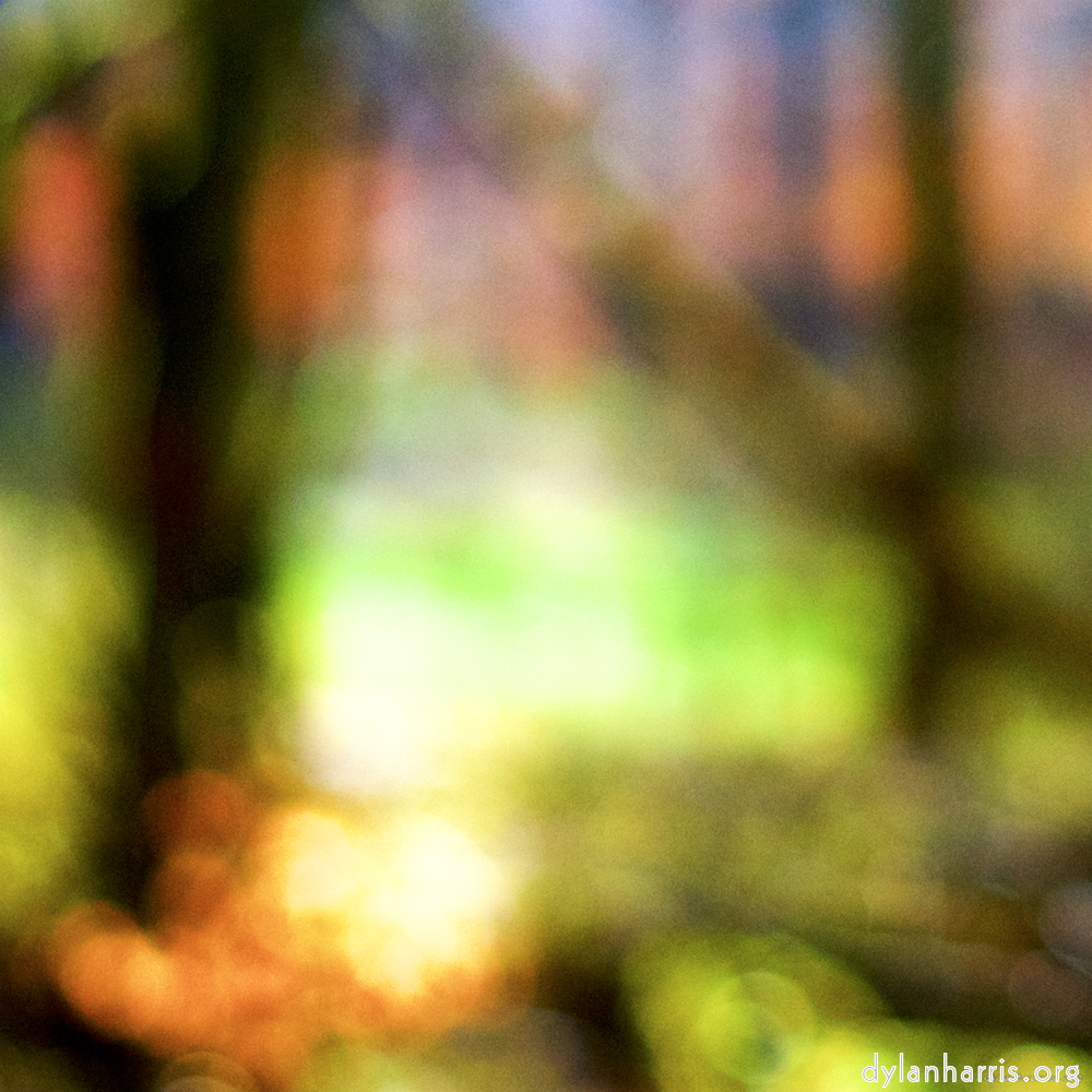 image: This is &lsquo;wood (xxvi) 5&rsquo;.