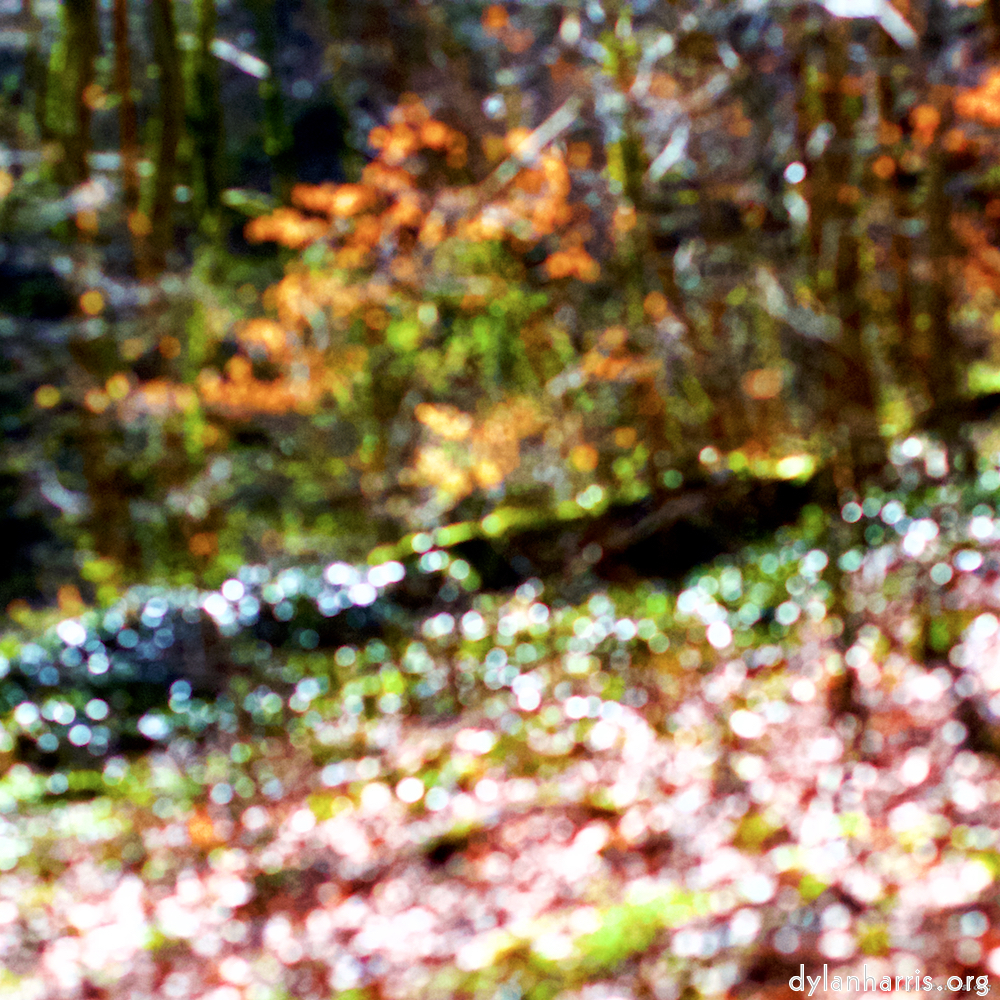 image: This is &lsquo;wood (xxvii) 2&rsquo;.