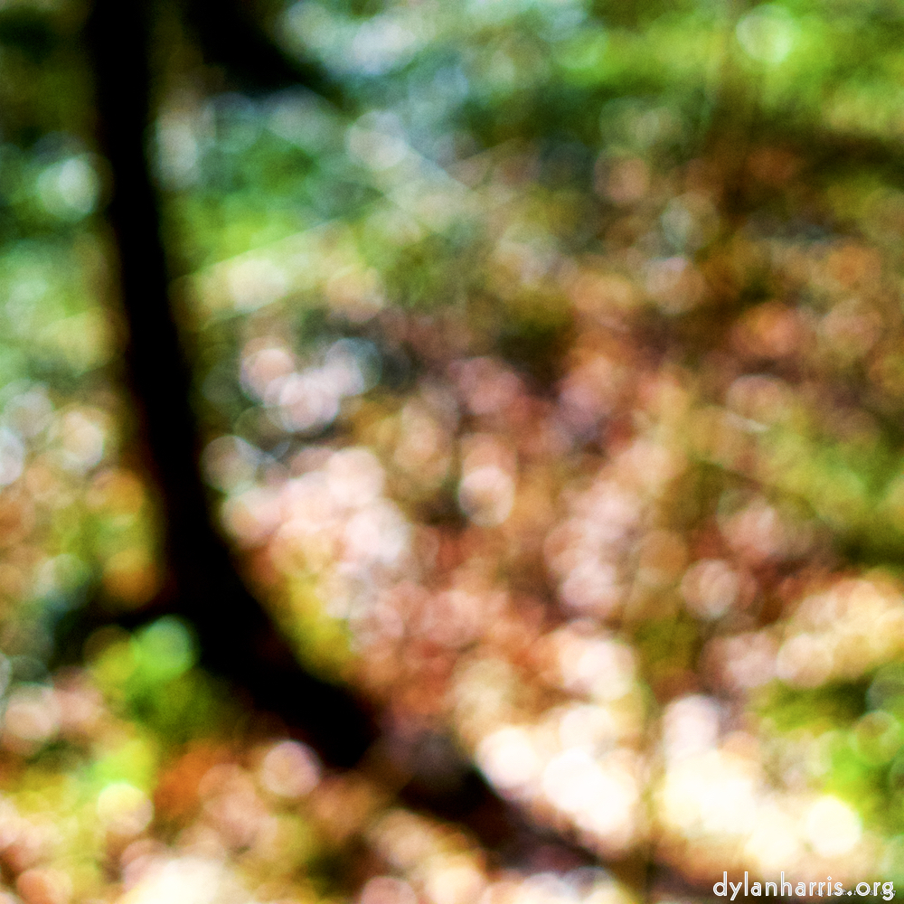 image: This is &lsquo;wood (xxvii) 3&rsquo;.