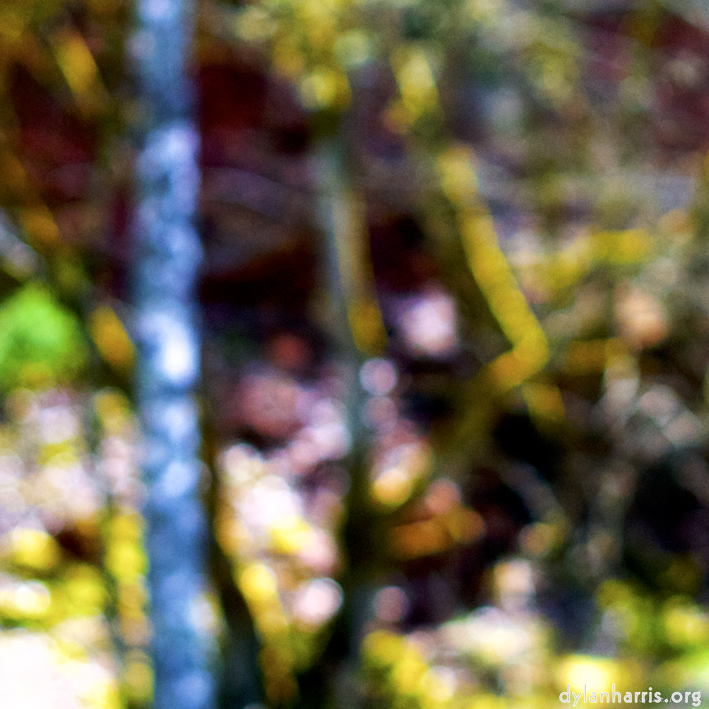 image: This is &lsquo;wood (xxix) 4&rsquo;.