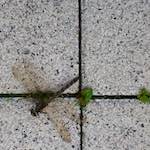 image: Image from the photoset &lsquo;way to work (vii)&rsquo;.