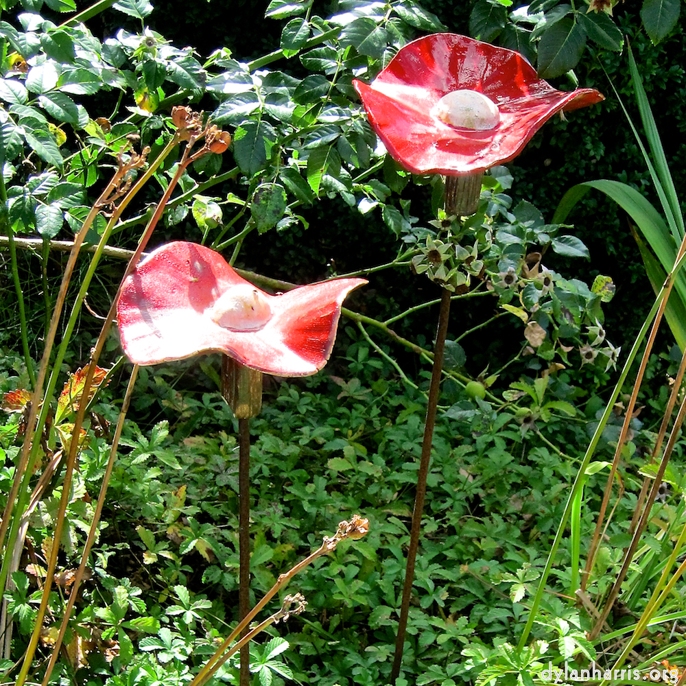 image: This is &lsquo;larochette 6&rsquo;.