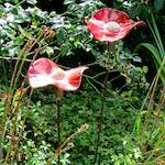 image: Image from the photoset &lsquo;larochette&rsquo;.