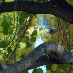 image: Image from the photoset &lsquo;water (ii)&rsquo;.