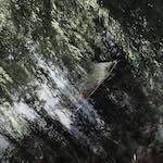 image: Image from the photoset &lsquo;water (ii)&rsquo;.