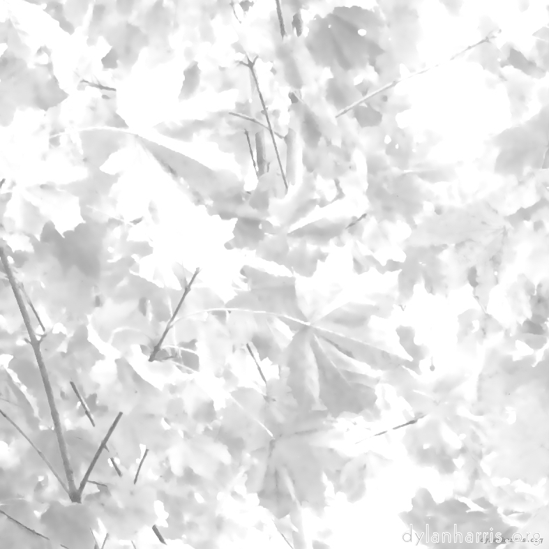 image: This is &lsquo;dublin (viii) 3&rsquo;.