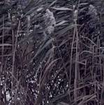 image: Image from the photoset &lsquo;dublin (viii)&rsquo;.