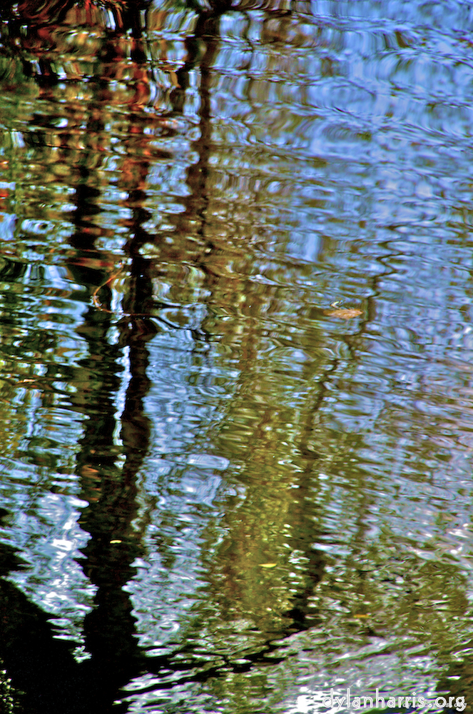 image: This is &lsquo;water (iii) 3&rsquo;.