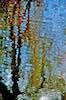image: Image from the photoset &lsquo;water (iii)&rsquo;.