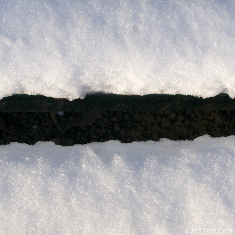 image: This is &lsquo;parc (x) 5&rsquo;.