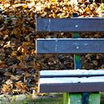 image: Image from the photoset &lsquo;parc (x)&rsquo;.