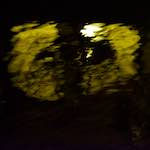 image: Image from the photoset &lsquo;amsterdam (xviii)&rsquo;.
