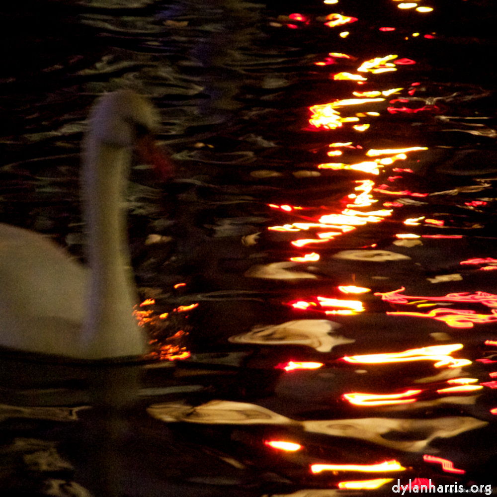 image: This is &lsquo;amsterdam (xix) 1&rsquo;.