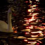 image: Image from the photoset &lsquo;amsterdam (xix)&rsquo;.