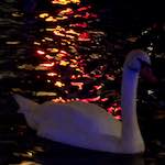 image: Image from the photoset &lsquo;amsterdam (xix)&rsquo;.