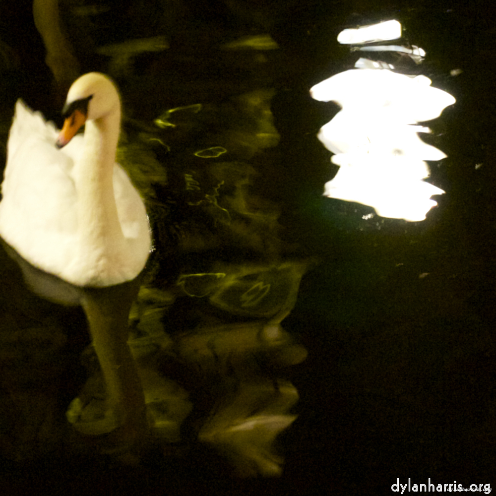 image: This is &lsquo;amsterdam (xx) 1&rsquo;.